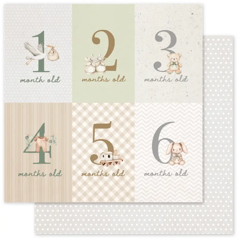 Boho Baby Basics A 12X12 Paper (12Pc Bulk Pack) 35104 1