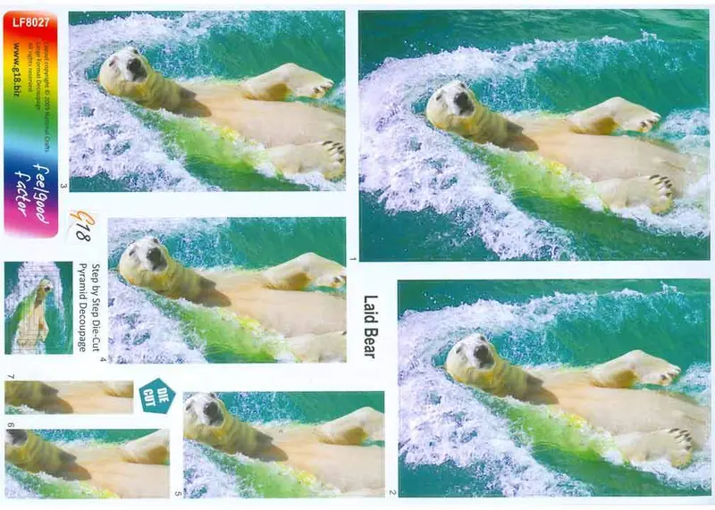 Large Format - Laid Back Bear 1
