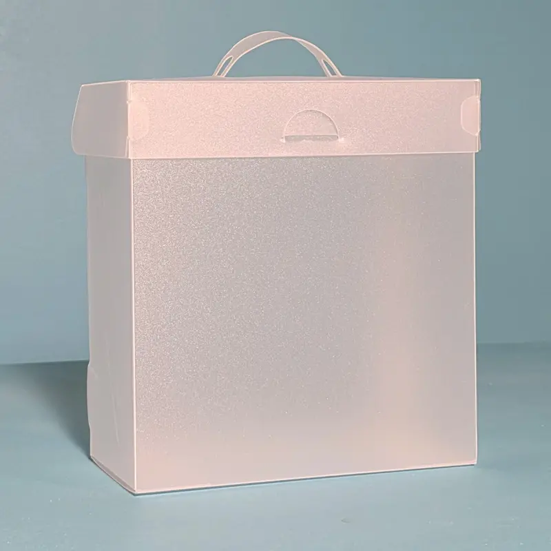 The Organized Option 6X6 File Master Storage Box With 5 Pockets 1