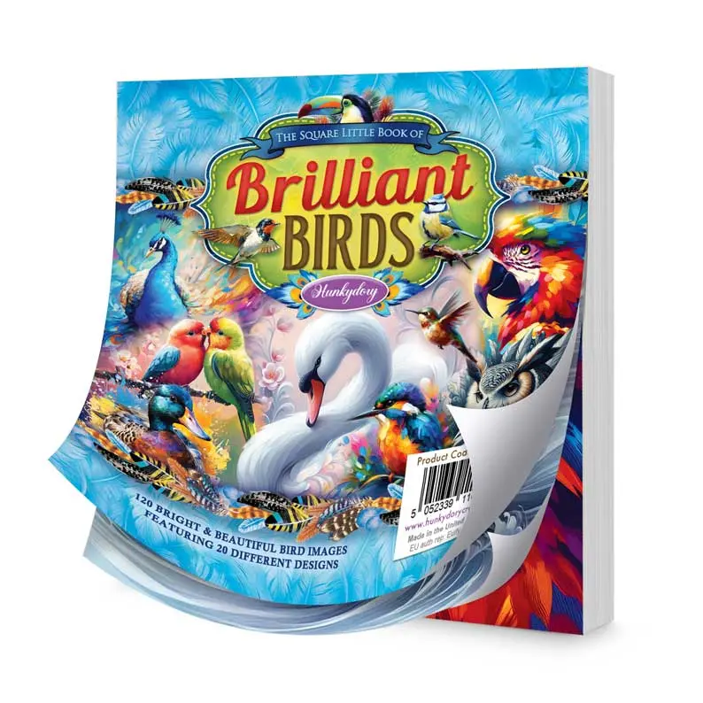The Square Little Book Of Brilliant Birds 1